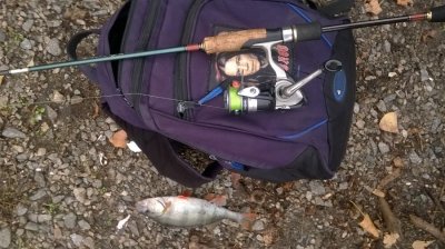 WP_20161016_005.jpg