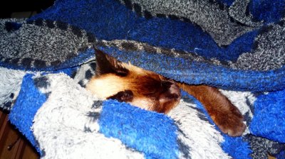 2016-10-16-4810_.jpg