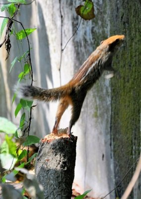 DSC_5047.JPG