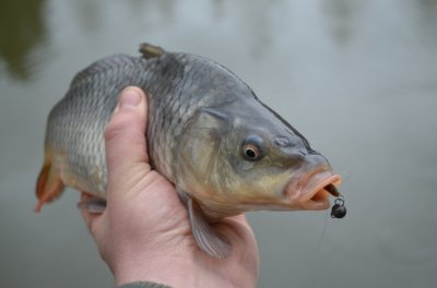 DSC_1122.JPG
