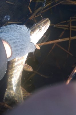 IMAG0664.jpg