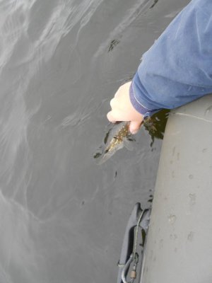 DSCN3176.JPG