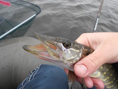DSCN3177.JPG