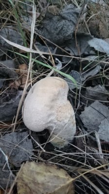 DSC_1797.JPG
