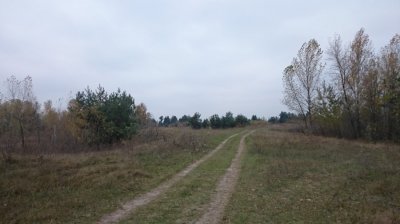 DSC_1799.JPG