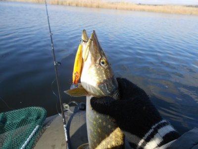 DSCN3188.JPG