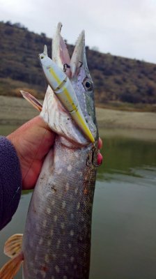 2013-11-25-0705_.jpg