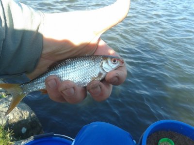 20161104_101741.jpg