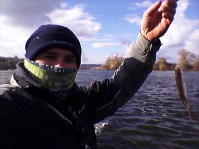 20161104_122721.jpg