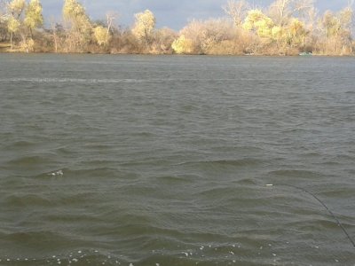 20161104_140012.jpg