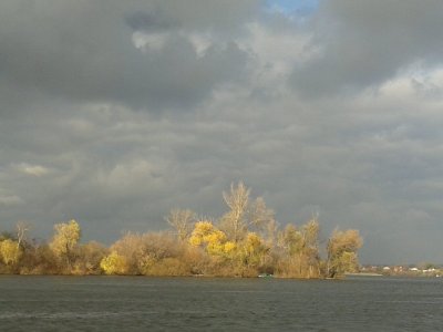 20161104_140019.jpg