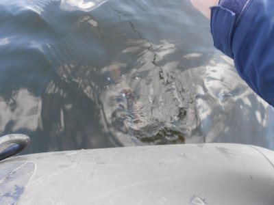 DSCN3218.JPG