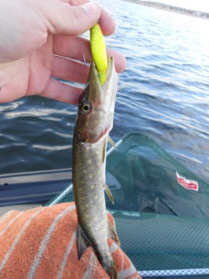 DSCN3230.JPG