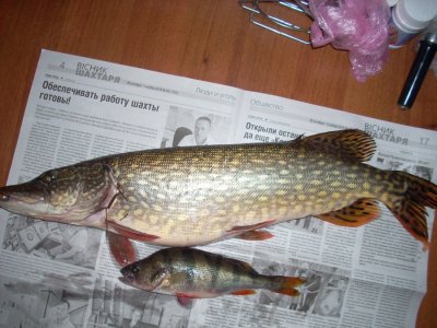 DSCN0961.JPG