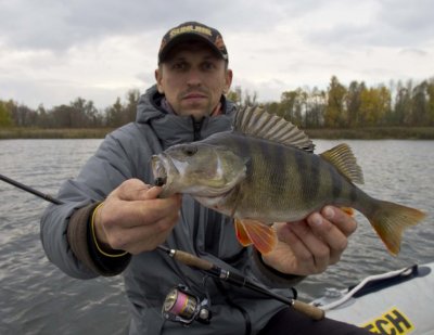 Botsman_800.jpg