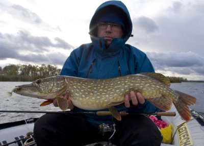 Krokodylchyk_800.jpg