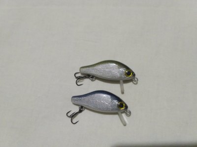 IMG_20161109_213332.jpg