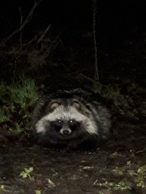 20161110_222907.jpg