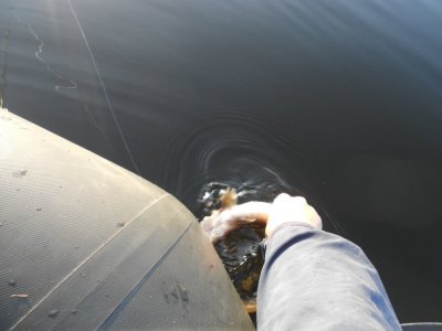 DSCN3239.JPG