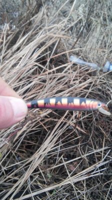 20161111_142112.jpg