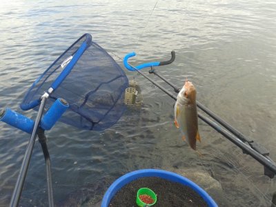 20161111_113513.jpg
