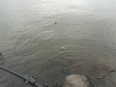 20161111_123910.jpg