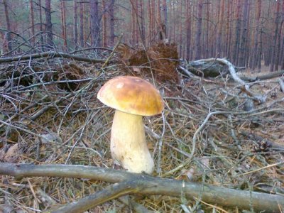 15092012381.jpg