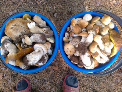 15092012386.jpg