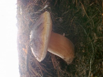 16092012391.jpg