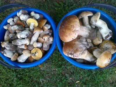 16092012393.jpg