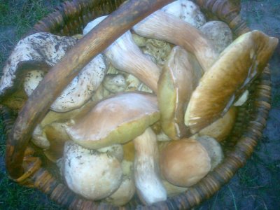 12072011146.jpg