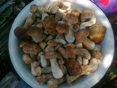 10072011140.jpg
