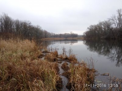 IMG_20161117_121524.jpg