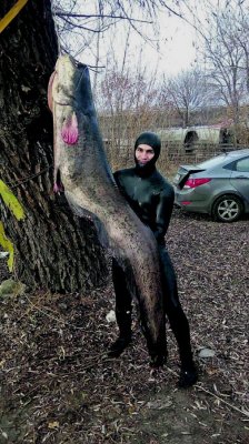 513.jpg
