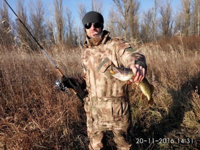 IMG_20161120_143142.jpg