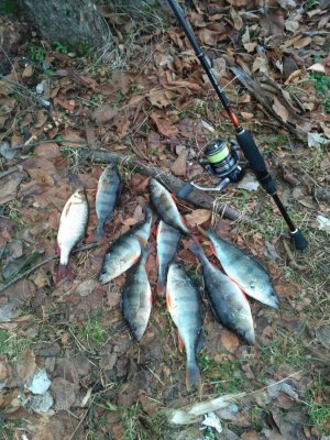 IMG_20161127_134246.jpg