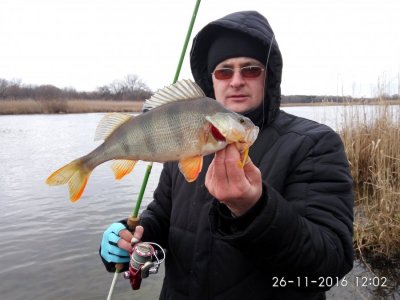 IMG_20161126_120237.jpg