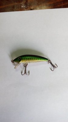 IMG_20161128_102654.jpg
