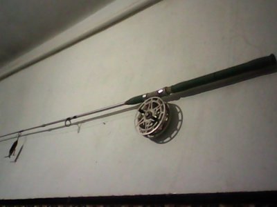 IMG0681A.jpg