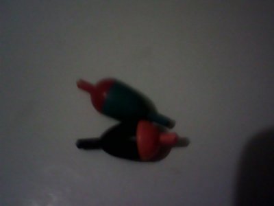 IMG0686A.jpg