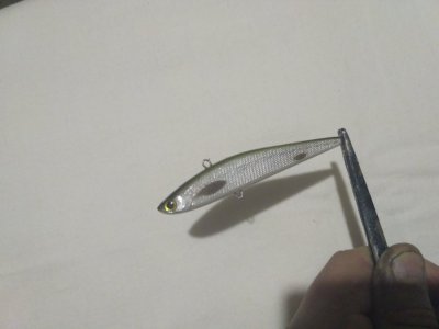 IMG_20161201_003645.jpg
