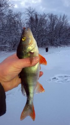 20161204_073342.jpg
