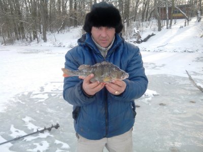 IMG_20161206_125734.jpg