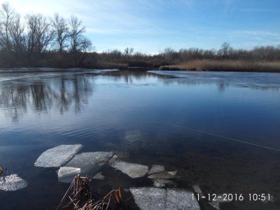 IMG_20161211_105123.jpg