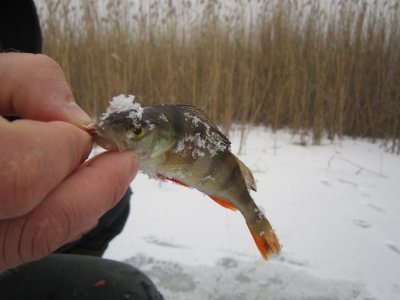 IMG_7591.JPG