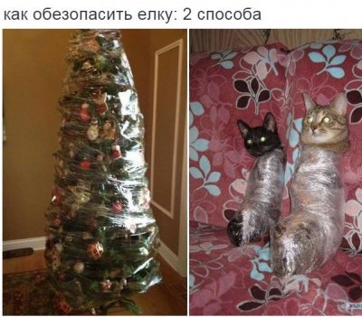 2 способа сохранить елку.jpg