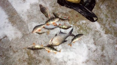 IMG_20170101_161038.jpg
