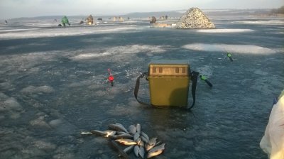 WP_20170102_006[1].jpg