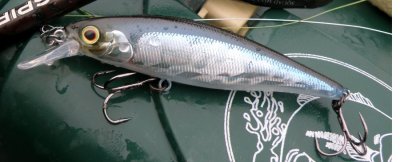 squad minnow 95.jpg