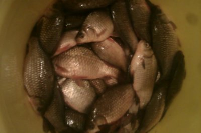 IMAG0742.jpg